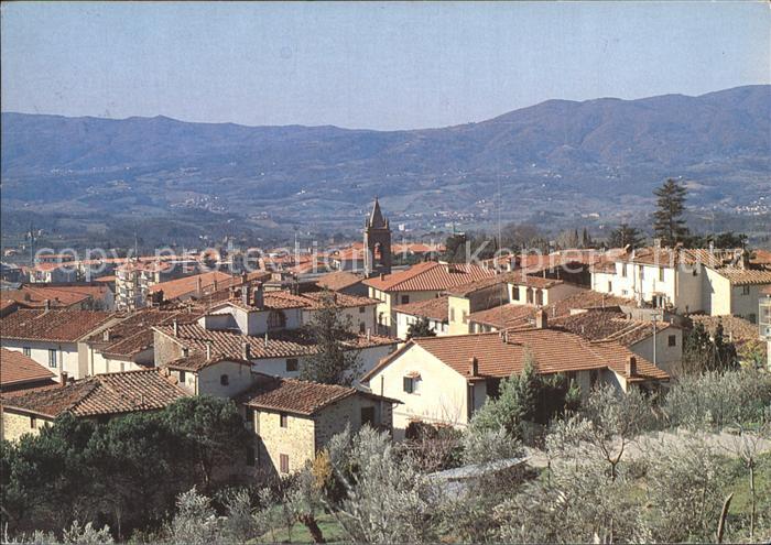 Reggello Panorama
