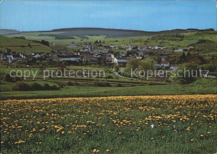 Stadtkyll Panorama Landschaft