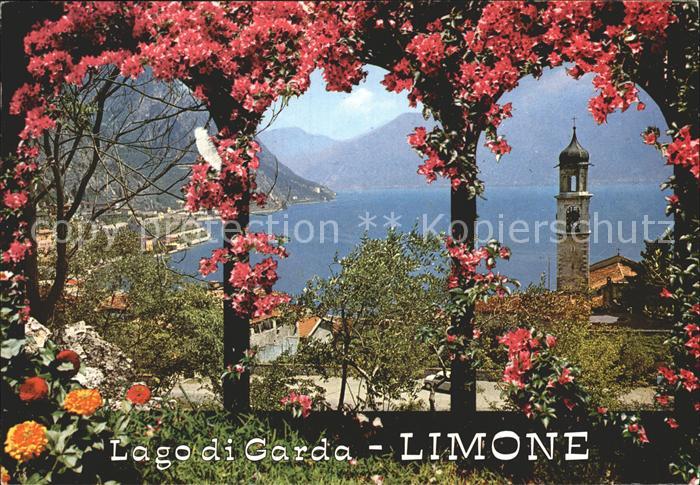 Limone sul Garda Panorama Gardasee Rosenbusch