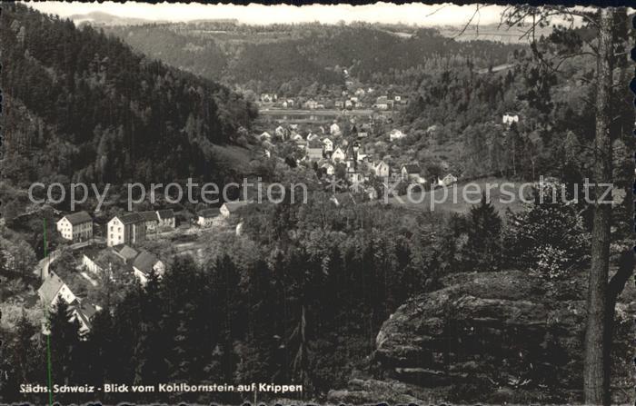 Krippen Bad Schandau Blick vom Kohlbornstein