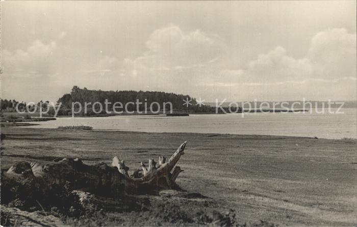 Schwielochsee Partie am See