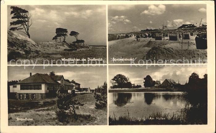 Prerow Ostseebad Strand Hafen Darss