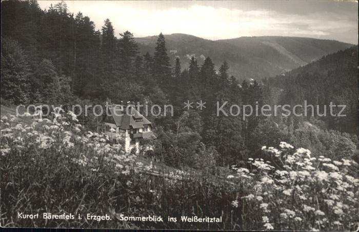 Baerenfels Erzgebirge Weisseritztal