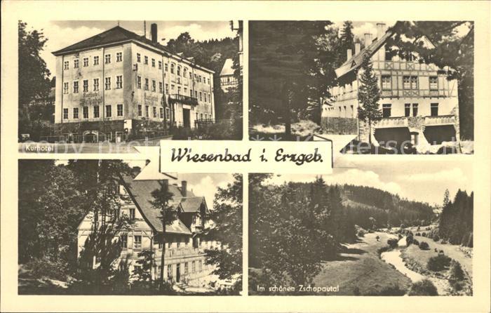 Wiesenbad