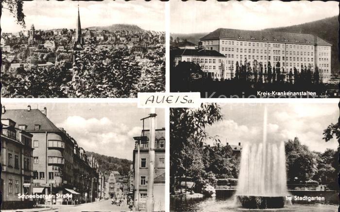 Aue Sachsen Krankenanstalten Schneeberger Strasse Stadtgarten
