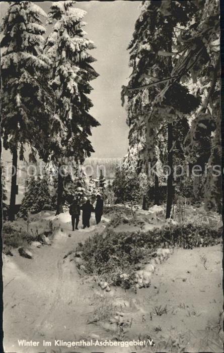 Klingenthal Vogtland Aschberggebiet im Wald