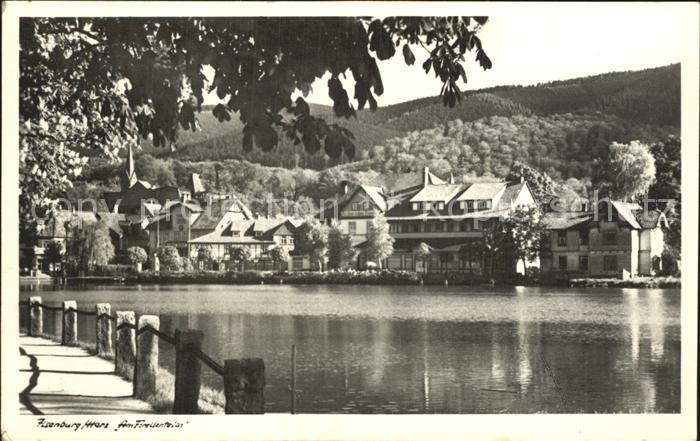 Ilsenburg Harz am Forellenteich
