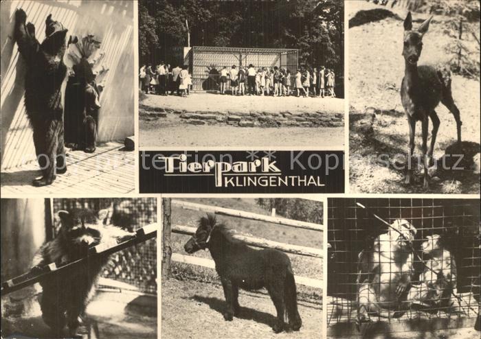 Klingenthal Vogtland Tierpark