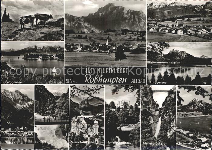 Rosshaupten Forggensee Forggensee Marienbruecke Neuschwanstein