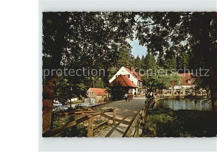 Leopoldstal Lippe Waldhotel Silbermuehle