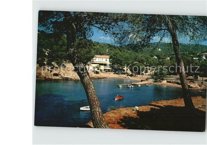 Mallorca Portal  Nous