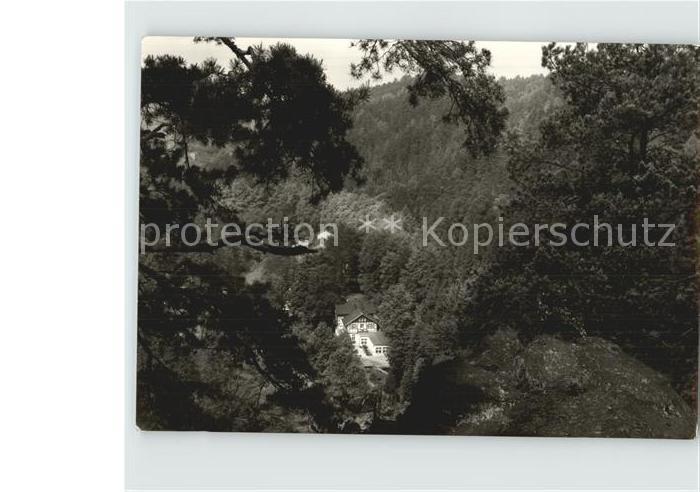 Bad Schandau Waldhaus