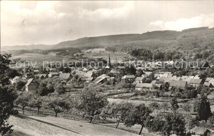 Neustadt Harz Stadtansicht