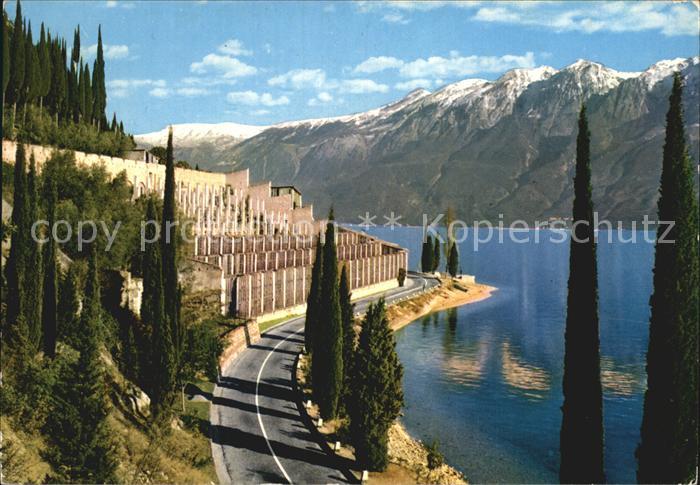 Gardasee Lago di Garda Zitronenbaeume