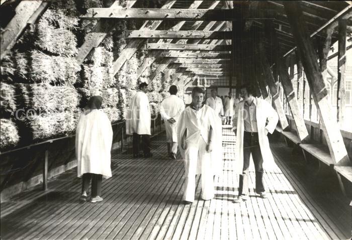 Bad Salzungen Gradierwerk Freiluftinhalatorium