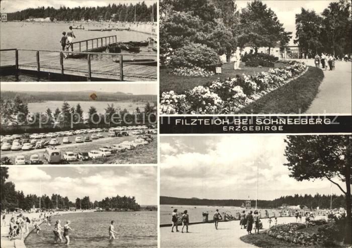 Schneeberg Erzgebirge Filzteich