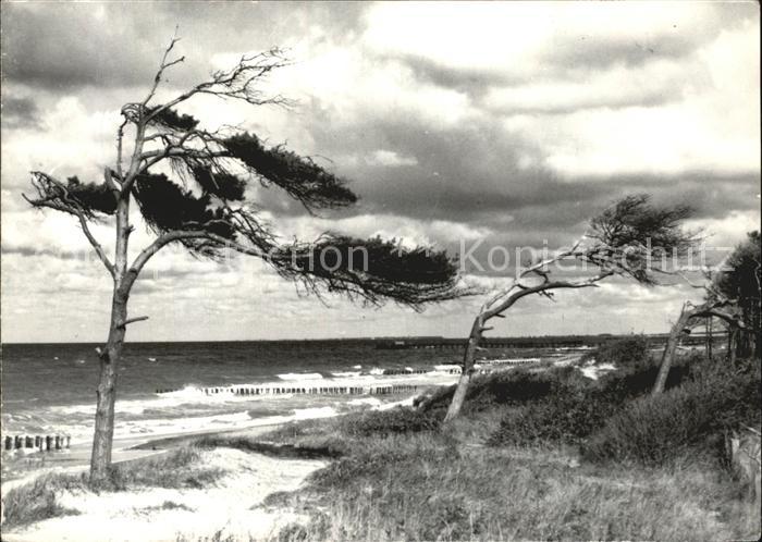 Graal-Mueritz Ostseebad Duenen