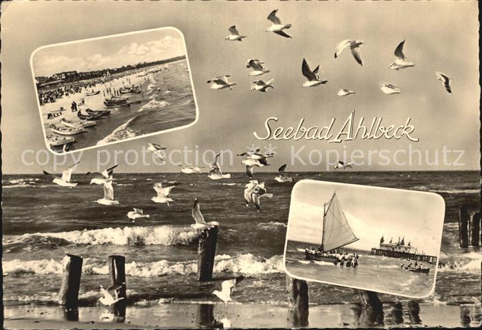 Ahlbeck Ostseebad Moewe