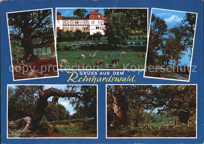 Reinhardswald Gast-und Pensionshaus Malzfeldt