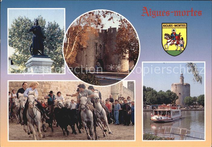 Aigues-Mortes Gard Denkmal Pferde