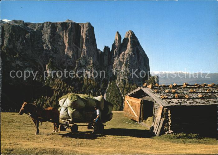Seiser Alm Dolomiten Gegen den Schlern