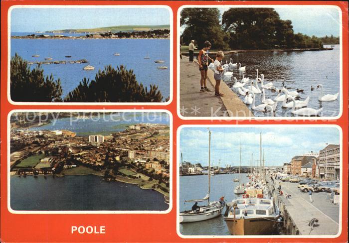Poole Dorset Harbour Dorset Coast Poole Park the Quay