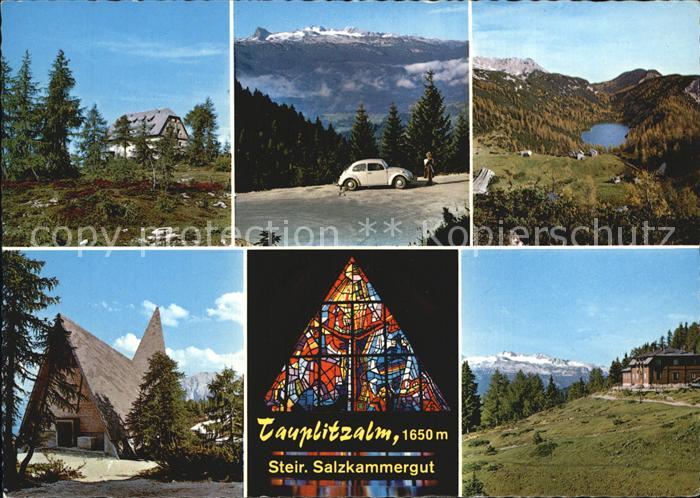 Tauplitzalm Linzer Tauplitzhaus Alpenrosenbluete Steiersee Grubstein