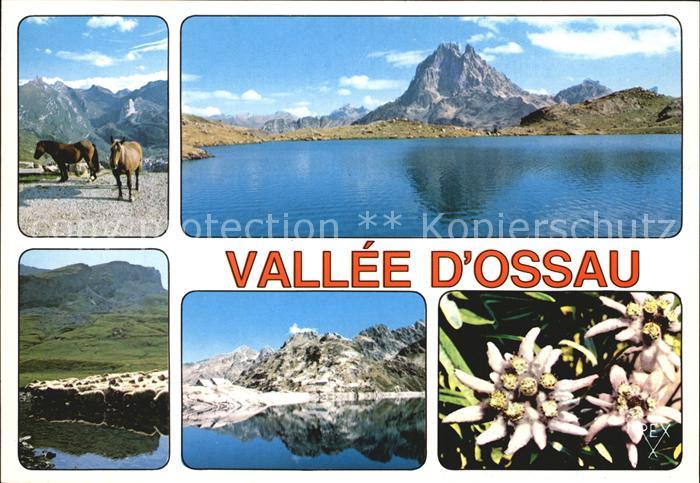Pyrenees Region Le Pic du Midi d`Ossau lac d`Ayous