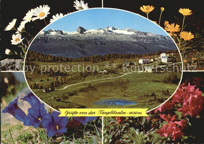 Tauplitzalm Dachstein