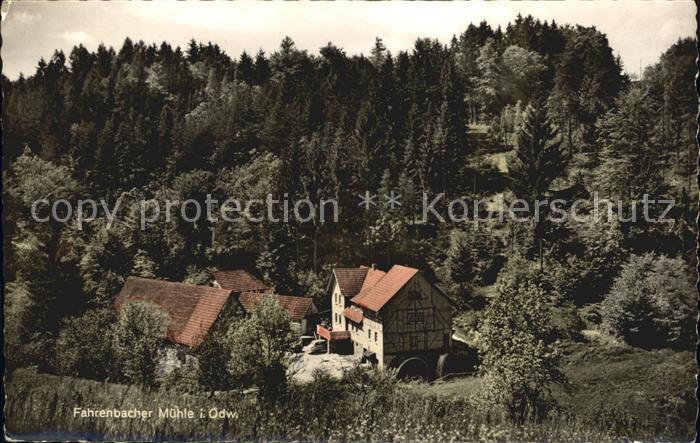 Fahrenbach Baden Neue Muehle Gasthaus Pension zum Trienzbachtal