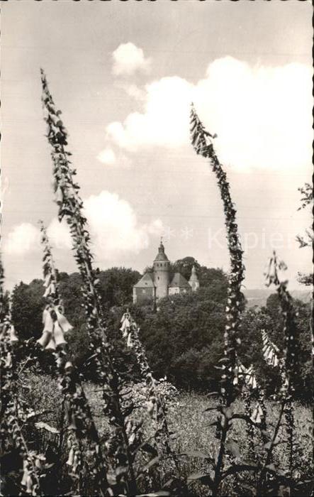 Waldbroel Schloss Homburg