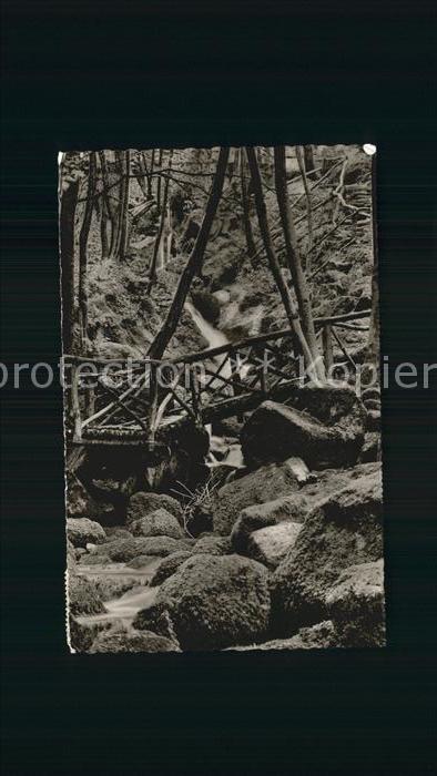 Sasbachwalden Waldpartie