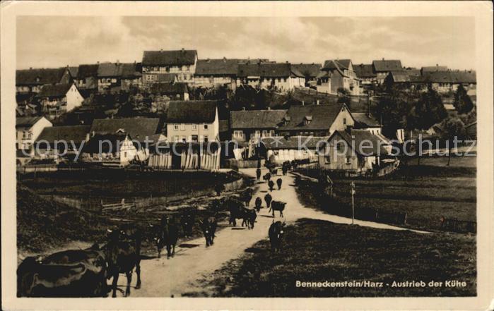 Benneckenstein Austrieb Kuehe Ortsansicht