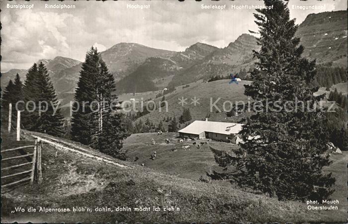 Allgaeu Region Buralpkopf Rindalphorn Hochgrad Seelekopf