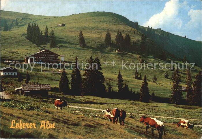 Lofer Loferer Alm Salzburger Land