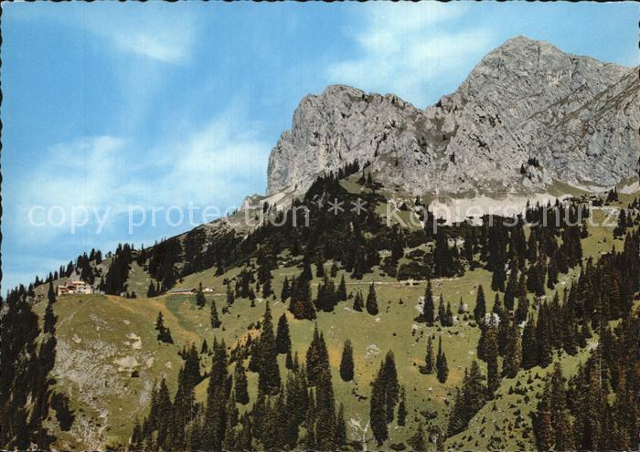 Nesselwaengle Tirol Gimpel Gimpelhaus Rote Flueh