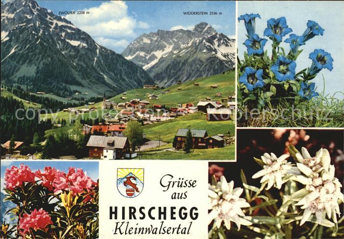 Hirschegg Kleinwalsertal Vorarlberg Edelweiss Enzian Widderstein Zwoelfer