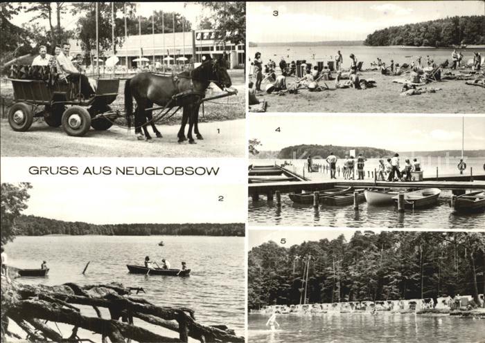 Neuglobsow Ponyrundfahrt Stechlinsee