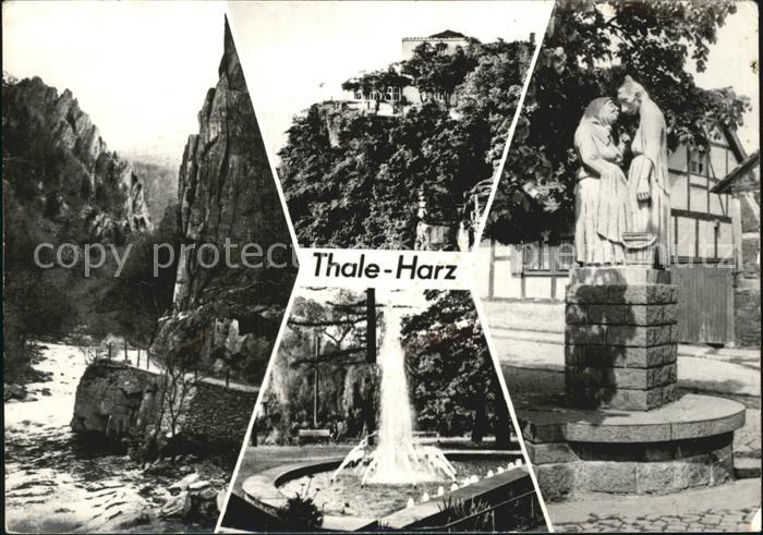 Thale Harz Partie Waldkater Hexentanzplatz Altweiberbrunnen