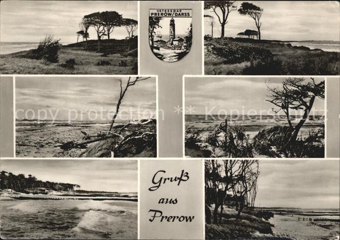 Prerow Ostseebad Wappen Prerow Darss Landschaften