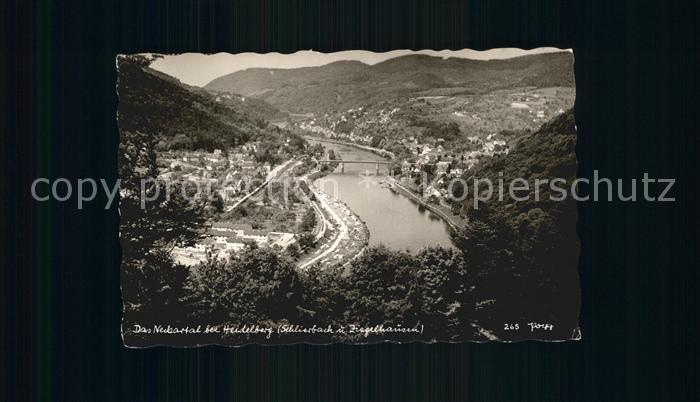 Heidelberg Neckar Neckartal Panorama