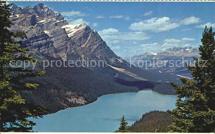Canadian Rockies Peyto Lake