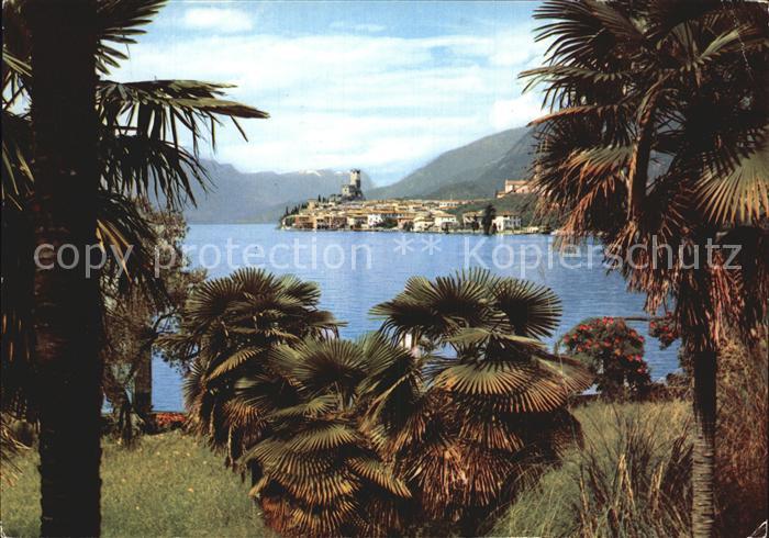 Malcesine Lago di Garda Panorama