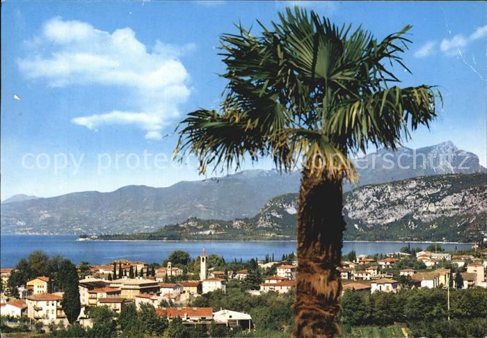 Bardolino Lago di Garda Panorama Lago di Garda
