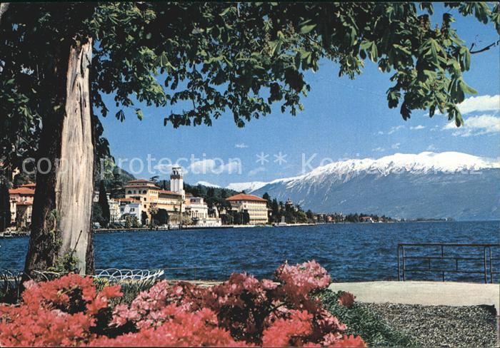 Gardone Garda Veduta con il Monte Baldo