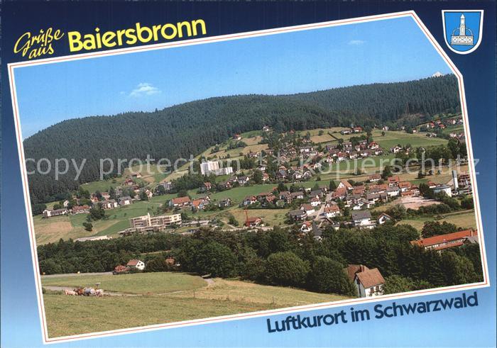 Baiersbronn Schwarzwald Panorama