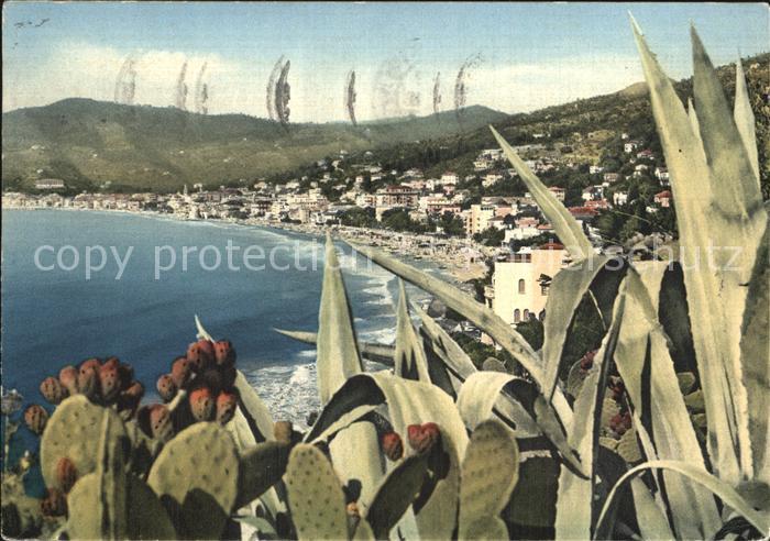 ALAssIO Savona Liguria IT Panorama