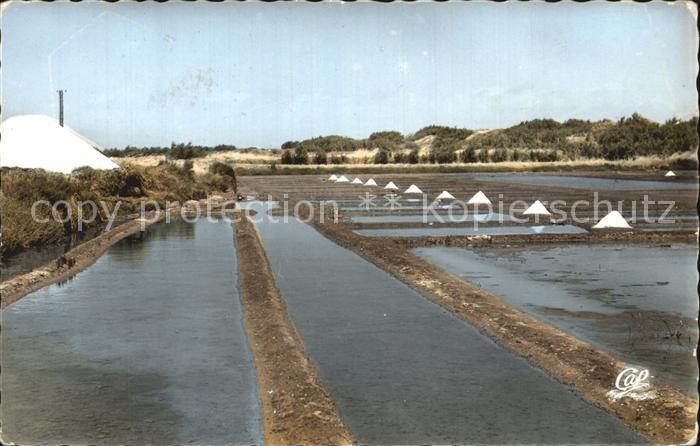 Ile de Re Marais Salants