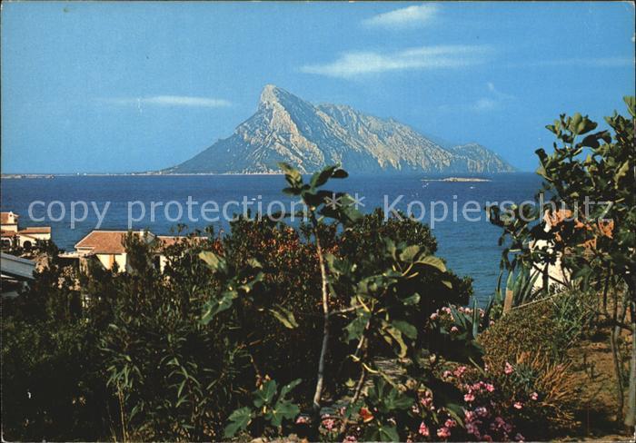 Sardegna Cala Girgolu Ilsao di Tavola