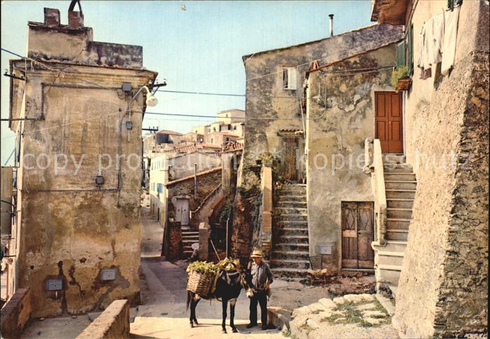 Capoliveri Il Fosso Mann mit Esel